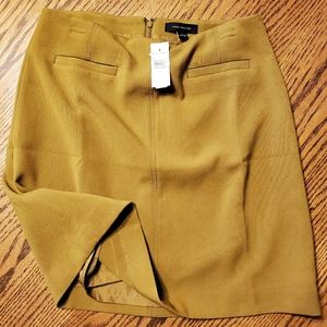 Ann Taylor Skirt